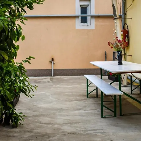 Maslincica Veli Iž